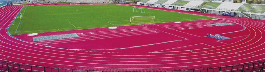 2004 Athens Olympics Training Track, Decoflex™ SW14 Athletic Flooring
